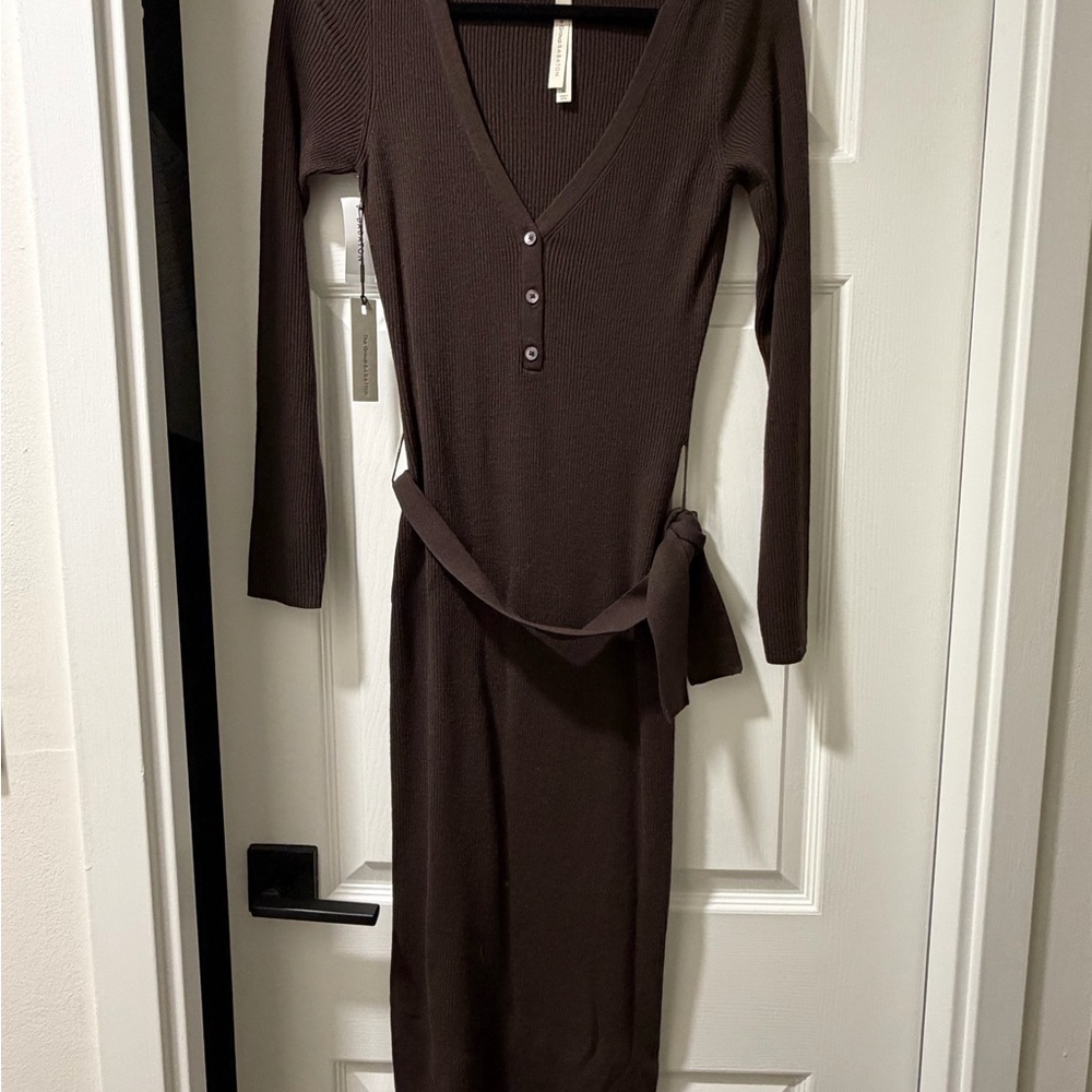 Aritzia Chocolate Long Sleeve V-Neck Dress